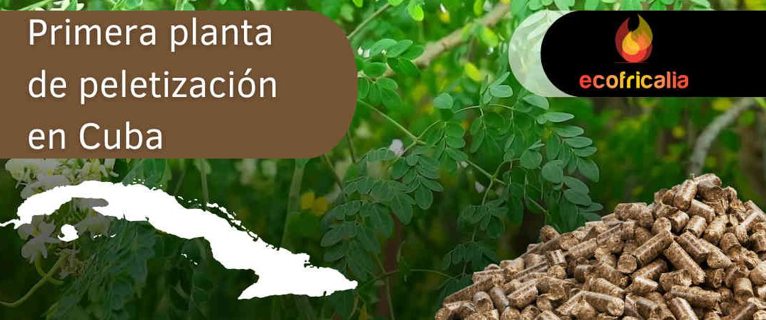 Ecofricalia instalará la primera planta de peletización en Cuba
