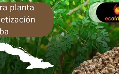 Ecofricalia instalará la primera planta de peletización en Cuba