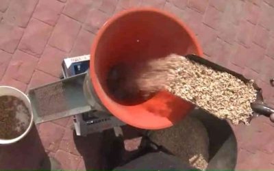 Preparación del Material para Fabricar Pellets: Tips Clave para Obtener un Pellet Casero o Profesional de Calidad