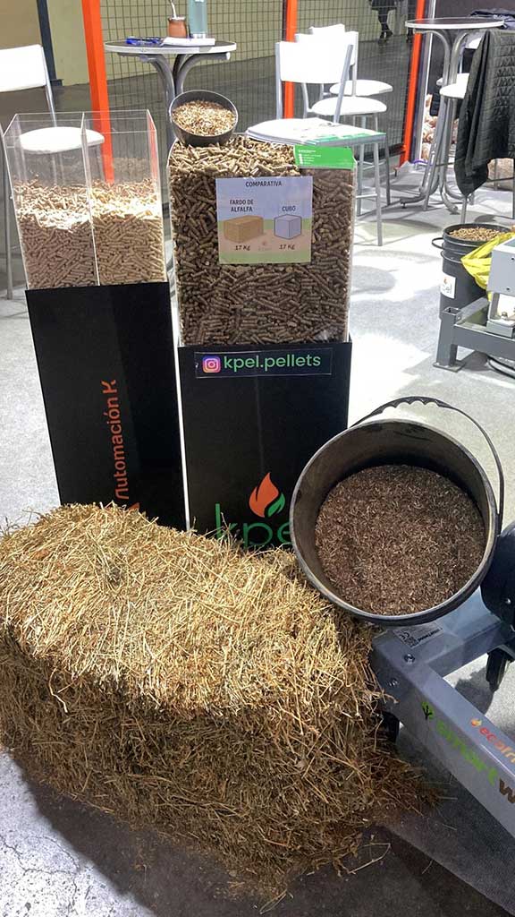 Comparativa de densificación: alfalfa en fardo vs cubo peletizado con el mismo peso.