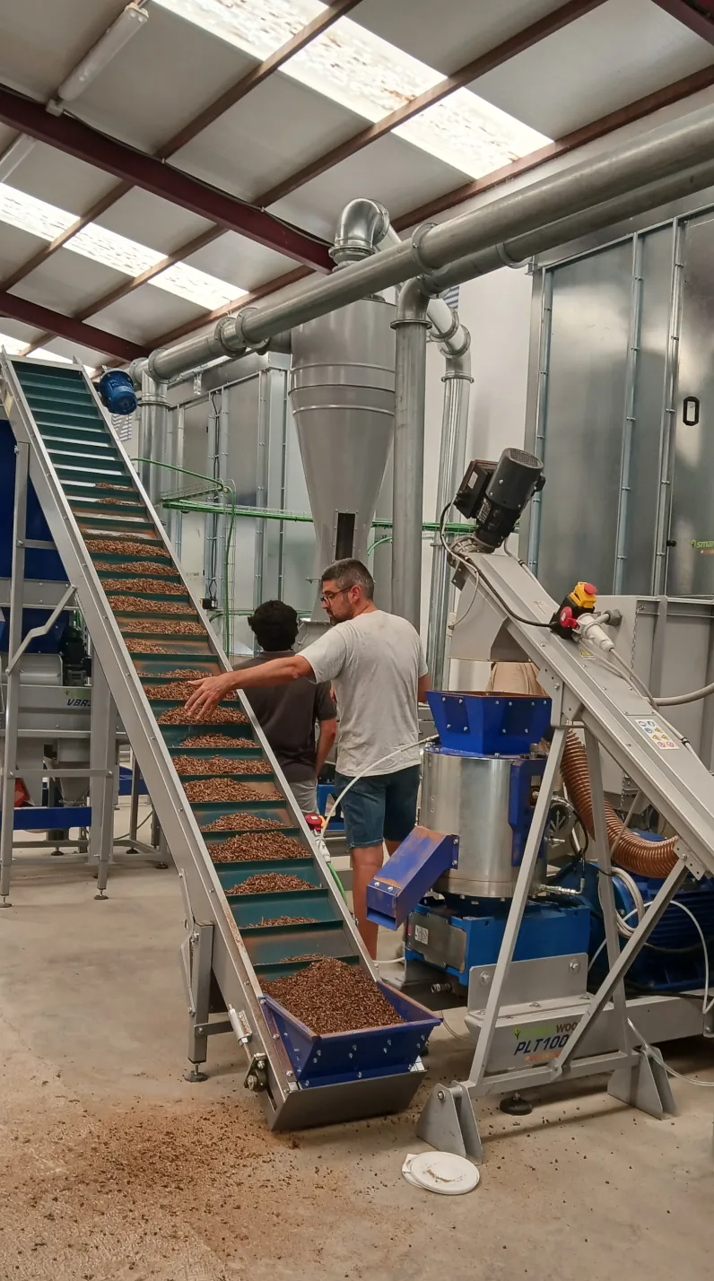 caso-exito-planta-peletizadora-tuejar-galeria-cinta-transporte-pellet Planta de pellets en ARCADIA con la Peletizadora PLT1000: sostenibilidad e innovación en producción.