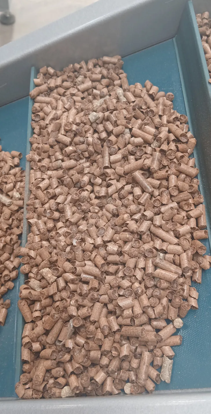 caso-exito-planta-peletizadora-tuejar-galeria-produccion-pellet Planta de pellets en ARCADIA con la Peletizadora PLT1000: sostenibilidad e innovación en producción.